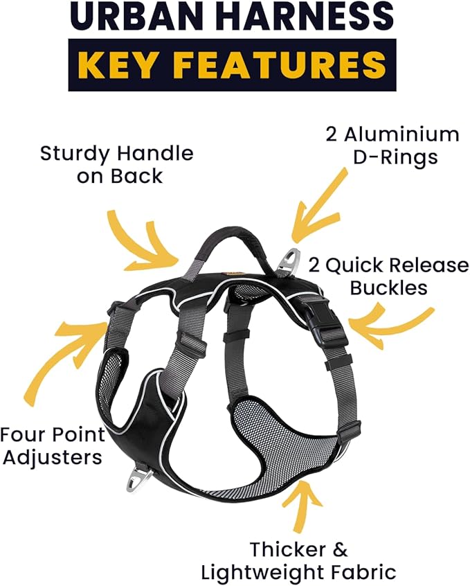 No Pull Dog Harness with 2 Leash Clips, Reflective Vest, Adjustable and Padded, Easy Walk Front/Back Clips (Black, X-Small)