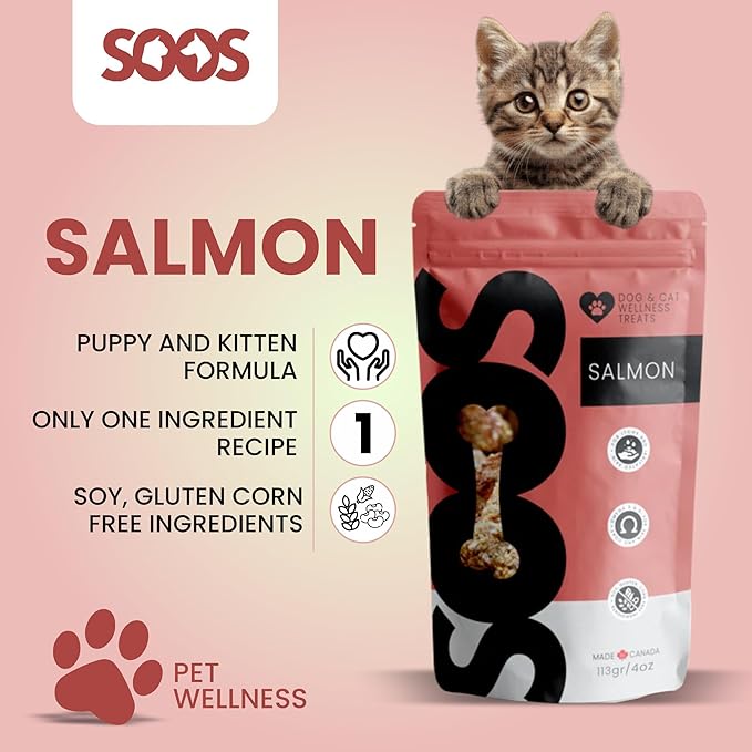 SOOS Natural Salmon Treats for Dogs & Cats - High Protein, Grain Free, Vitamin Minerals, Healthy Training Treats - 113g