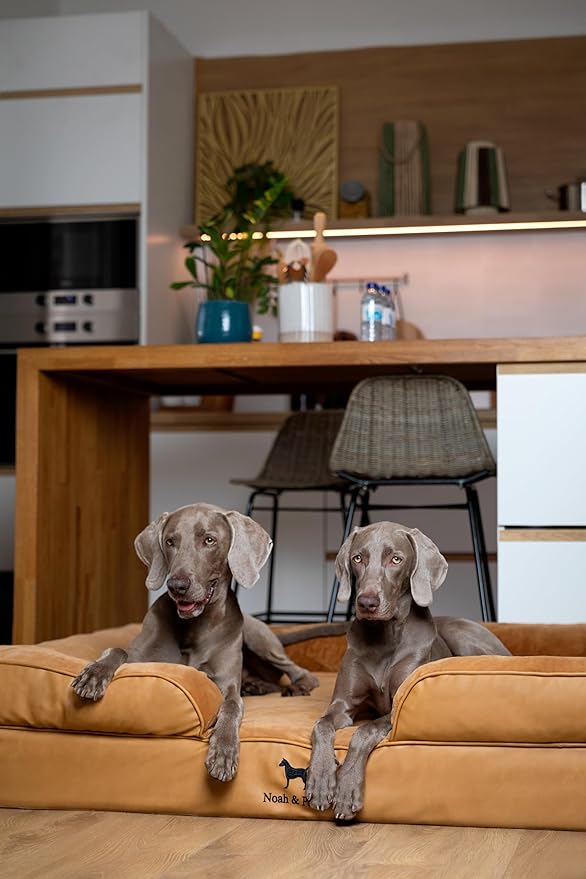 NOAH & PAW Giant Dog Bed XXL, 55x45x11 Inch, Orthopedic Dog Beds, Eggshell Memory Foam Infused with Cooling Gel, Inner Cover, Waterproof, Machine Washable (Faux Leather Sofa Collection)