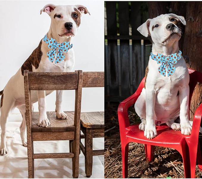 Unique style paws Thanksgiving Dog Collar with Bow Tie Blue Turkey Puppy Collar for Small Medium Large Dogs as Autumn Winter Pet Gifts-M