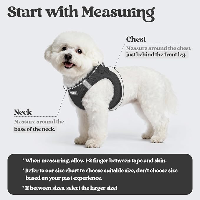 rabbitgoo Dog Harness Small Sized and Leash Set, Step in Soft Light Puppy Vest, Breathable Mesh Pet Harness, Reflective for Safe Easy Walking, Black M