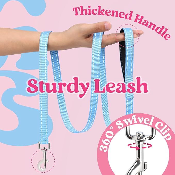 rabbitgoo Dog Harness Small Sized and Leash Set, Step-in Breathable Pet Harness, Soft Walking Reflective Puppy Vest for Small Dogs, Pink & Light Blue, L