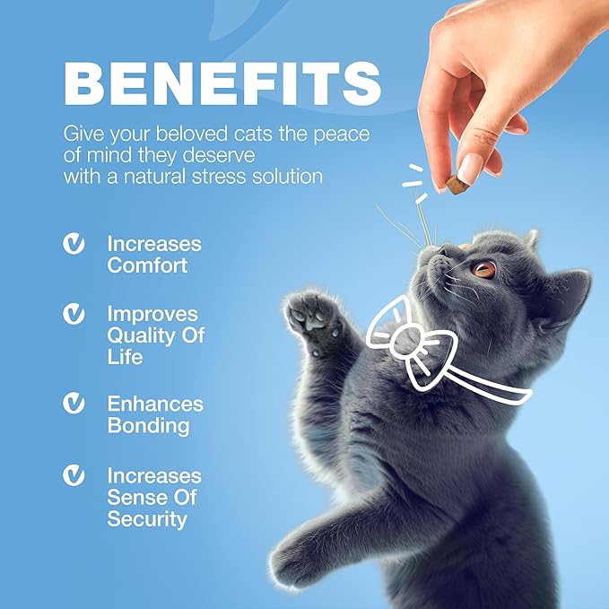 Cat Calming Treats - Probiotic Melatonin Soft Chews for Cat Anxiety Relief - Calming Chews for Stress, Storms, Travel, Grooming, Separation Anxiety - Behavioural Support