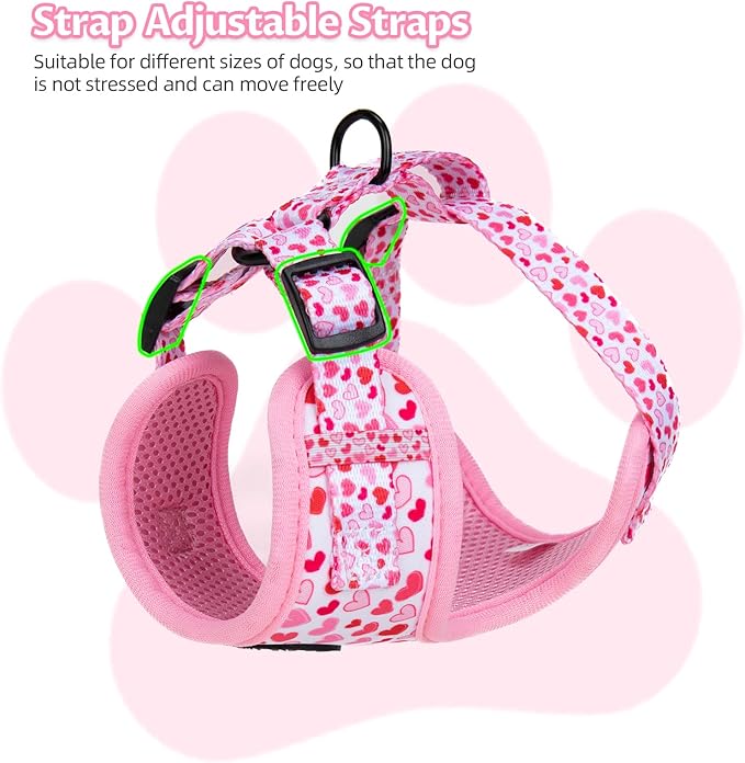 Dog Harness and Leash Set, Adjustable Dog Harness, Dog Leash, No Pull No Choke Puppy Harnesses for Walking Training for Small, Medium Pet (Little Love, M(Chest 17.7-23.1", Neck 13.4-16.4"))