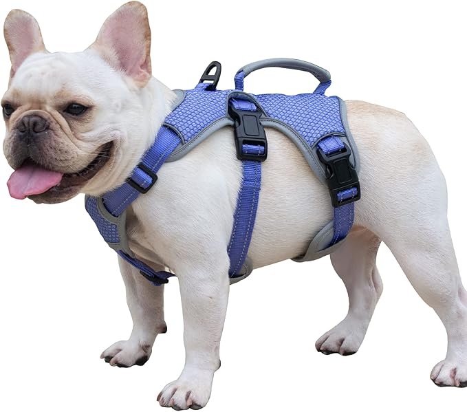 Huntboo Escape Proof Dog Harness, Escape Artist Harness, Reflective Dog Harness with Handle, Durable,Adjustable Vest for Small Medium Large Dogs Walking, Training, and Running Gear(Technicolor Blue,M)