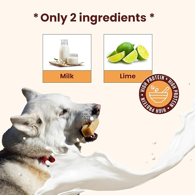 Authentic Himalayan Yak Cheese for Dogs - Medium (Pack of 10) - Sourced from Pristine Himalayan Foothill, Rawhide-Free, NO preservatives