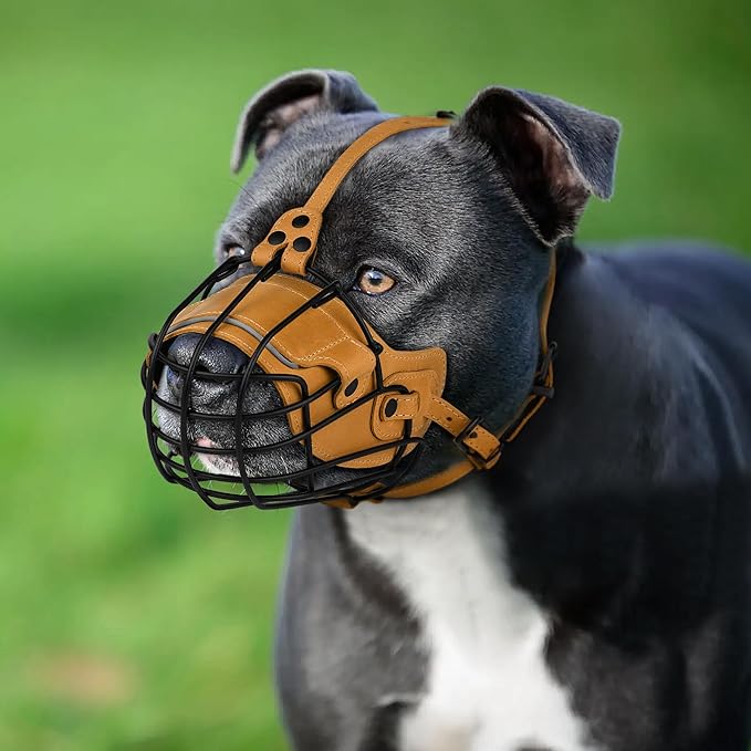 OOPSDOGGY Metal Pitbull Dog Muzzle Reflective Leather Mask Secure Wire Basket Muzzle for Large Sized Dogs Amstaff Soft Cage Muzzle to Prevent Biting Chewing with Adjustable Straps (Camel, Pitbull)