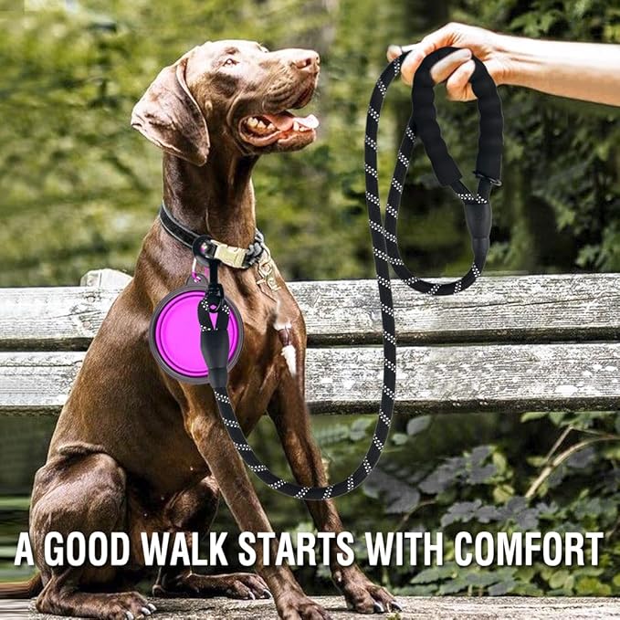 COOYOO 2 Pack Dog Leash 4 FT Heavy Duty - Comfortable Padded Handle - Reflective Dog Leash for Medium Large Dogs with Collapsible Pet Bowl Set 3-Black+Purple