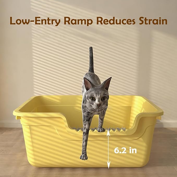 Large Cat Litter Box with High Sides,Open Top Cat Litter Pan with Low Entry,Big Cat Boxes for Indoor Cats,Ideal for Kittens & Senior Cats,Anti-Splashing,No Odor,Easy to Clean (Grey)