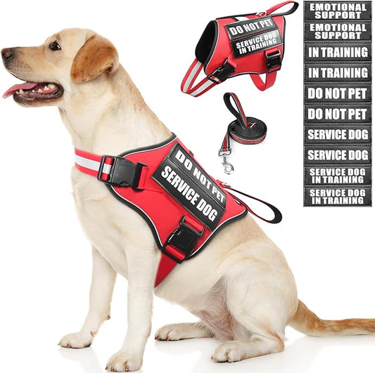 Service Dog Vest Harness and Leash Set+10 Patches,No Pull&Adjustable Reflective Dog Harness with Soft Padded Handle for Training/Everyday,Fit Small/Medium/Large/Extra-Large Dogs(Red L)