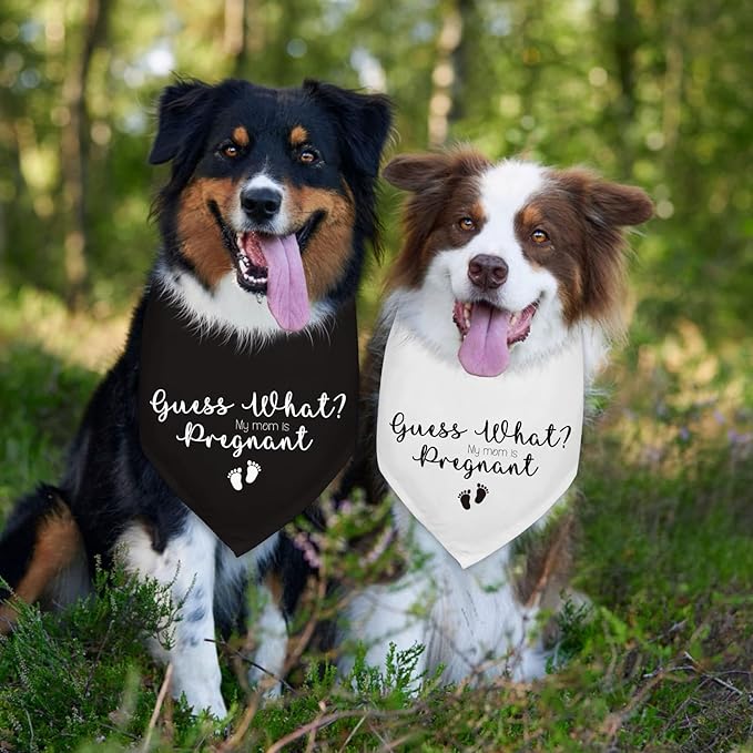 2 Pack Guess What? My Mom is Pregnant Pregnancy Announcement Dogs Bandana Baby Dogs Bandana Dog Pregnancy Announcement Gender Reveal Photo Prop Pet Scarf Accessories for Pet Dog Gifts