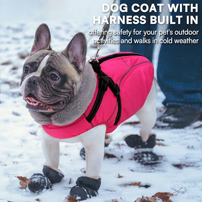 Queenmore Small Dog Coat,Dog Coat for Small Dogs,Reflective Windproof Dogs Jackets with Built-in Harness,Doggy Winter Jacket with Zipper On Back,Warm Pet Coats with Fleece Lining,Rosered,S