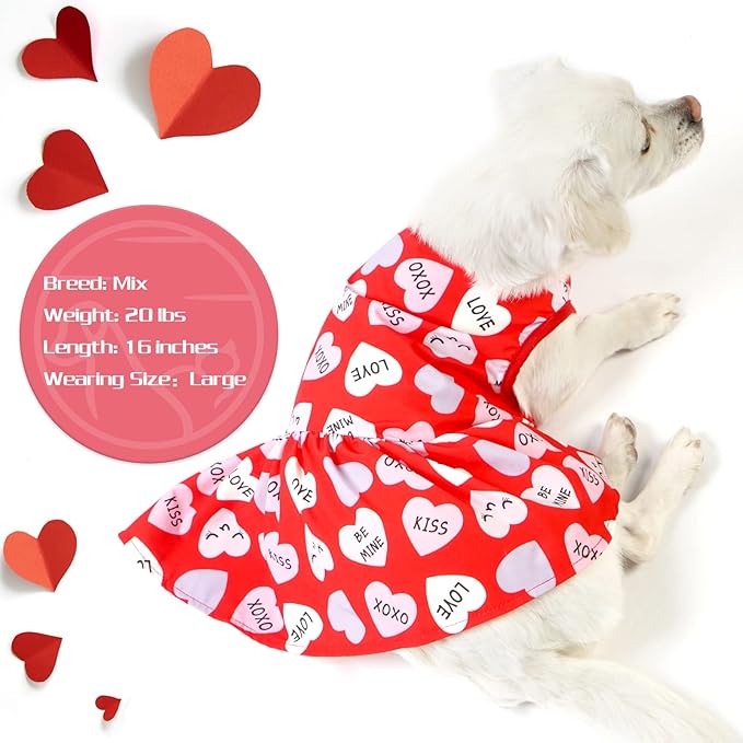 cyeollo Valentines Day Dog Dress Holiday Theme Outfit Heart Pattern Chiffon SkirtGirl Dog Clothes Dresses for Puppy Dogs Cats Apparel
