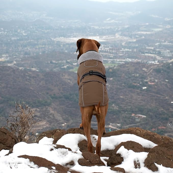 Lelepet Warm Dog Coat Reflective Fleece Vest Waterproof Dog Jacket with Adjustable Buckle Hook & Loop Windproof Cold Weather Coats for Small Medium Large Dogs, Brown, L