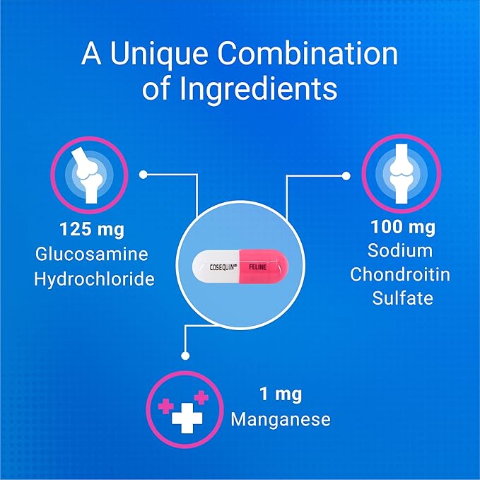 Nutramax Cosequin 80 Sprinkle Capsules for Cats