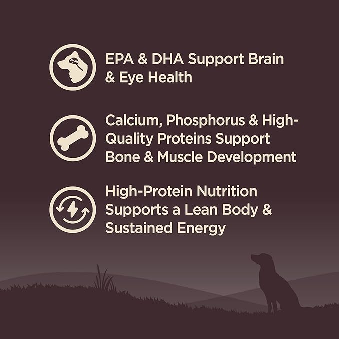 Wellness CORE Grain-Free High-Protein Small Breed Dry Dog Food, Natural Ingredients, Made in USA with Real Meat (Puppy ,Turkey, 12-Pound Bag)