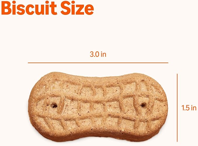 Amazon Basics Peanut Butter Flavor Biscuits Dog Treats 5 lb. Box
