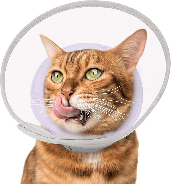 Cat Cone Collar Soft: Comfortable Waterproof Mesh Recovery Cone After Surgery to Stop Licking and Scratch, Alternative to Plastic Elizabeth Head/Neck Cone