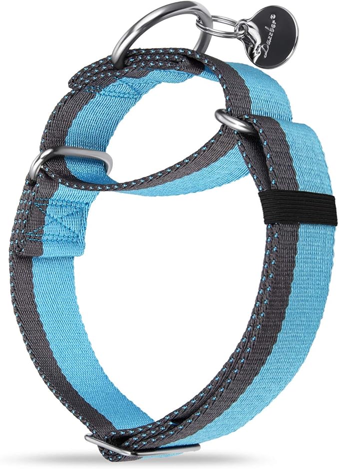 Martingale Collar 1.5 Inch Wide 1200D Extra Strong Nylon Dog Collar, No Pull Heavy Duty Dog Collar with 2-Color Stripe for Medium to XLarge Dogs (Large, 1 1/2 Inch Wide, Baby Blue & Grey)