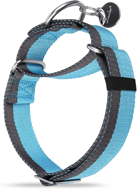 Martingale Collar 1.5 Inch Wide 1200D Extra Strong Nylon Dog Collar, No Pull Heavy Duty Dog Collar with 2-Color Stripe for Medium to XLarge Dogs (Large, 1 1/2 Inch Wide, Baby Blue & Grey)