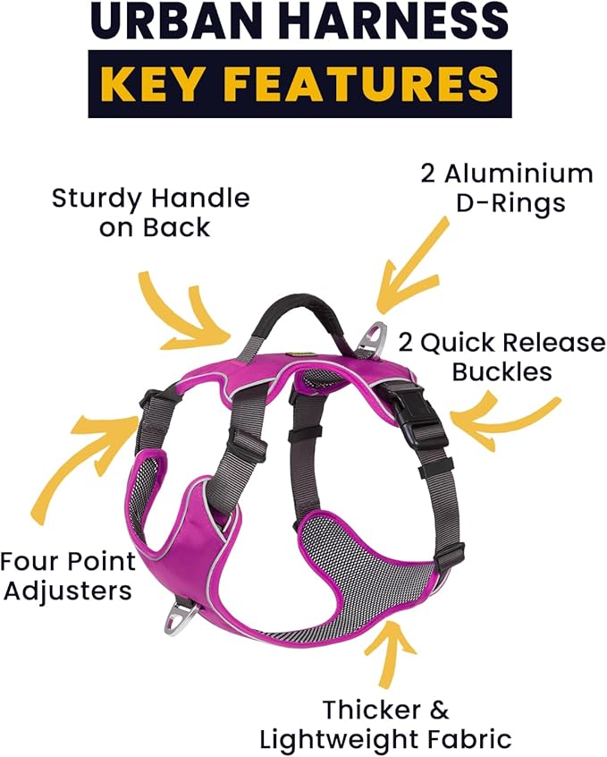 No Pull Dog Harness with 2 Leash Clips, Reflective Vest, Adjustable and Padded, Easy Walk Front/Back Clips (Purple, X-Small)