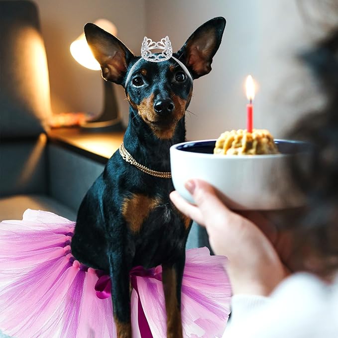 2 Pcs Dog Crown Headband Dog Tutu Dress Set Crystal Rhinestone Tiara Crown Tutu Skirt Pet Dress Costume for Puppy Birthday Party Wedding Photo Prop Costume(Large,Pink Purple)