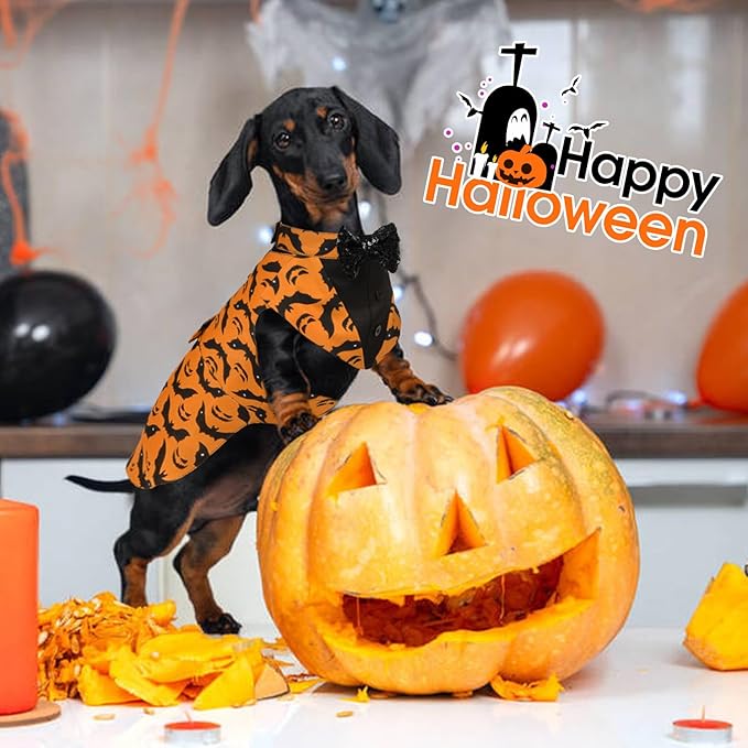 Kuoser Dog Tuxedo Suit and Bandana Set, Bat Pumpkin Print Dogs Halloween Outfit Adjustable Dog Halloween Costume with Bow Tie for Large Medium Small Dogs Golden Retriever Samo Bulldogs, Orange S