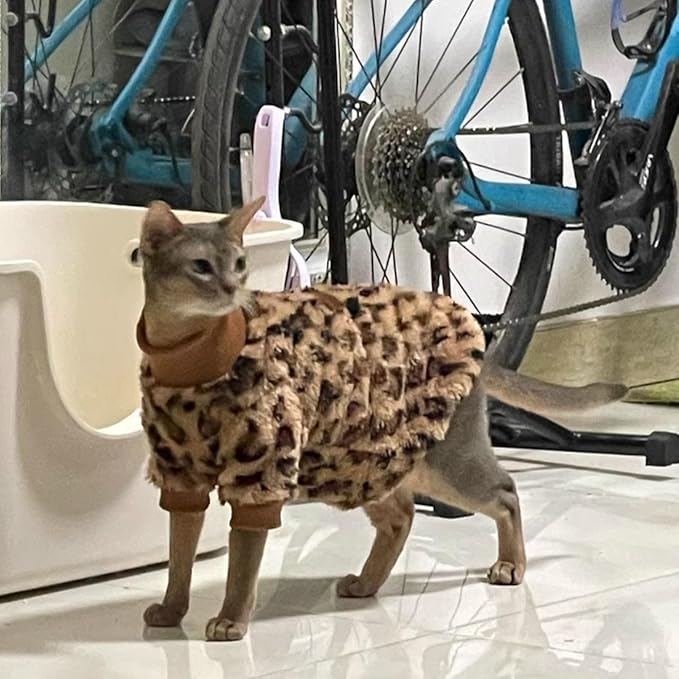 Cat Leopard Double-Sided Fleece Pullover, Soft Warm Clothes for Hairless Sphynx, Devon & All Indoor Kittens in Winter (Leopard,2XL)