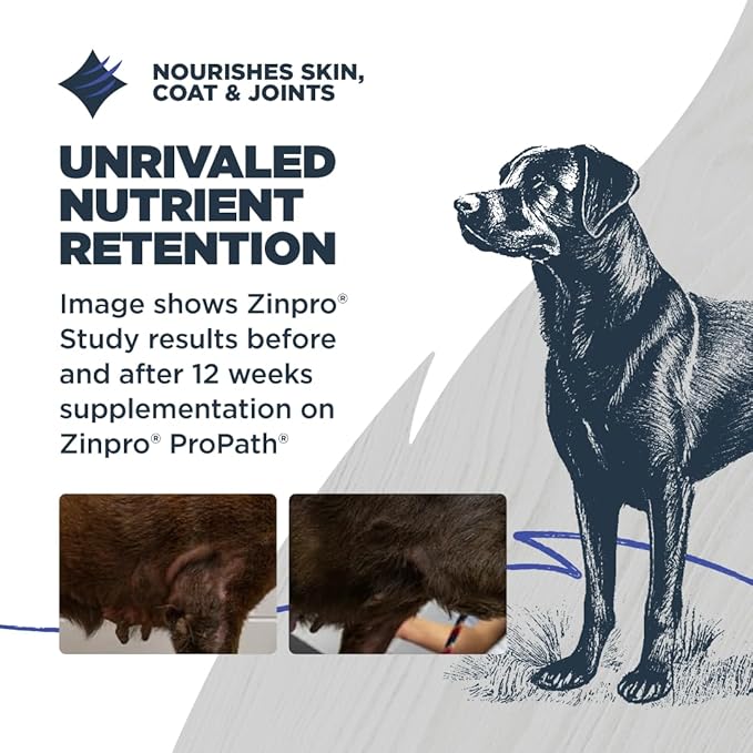 Blackwood Grain Free Dry Dog Food, Chicken & Field Pea Recipe, 10 Pound Bag for All Life Stages, Slow Cooked with Vitamins & Minerals for a Balanced Diet