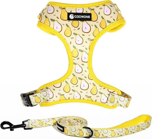 Dog Harness and Leash Set, Adjustable Dog Harness, Dog Leash, No Pull No Choke Puppy Harnesses for Walking Training for Small Medium Pet