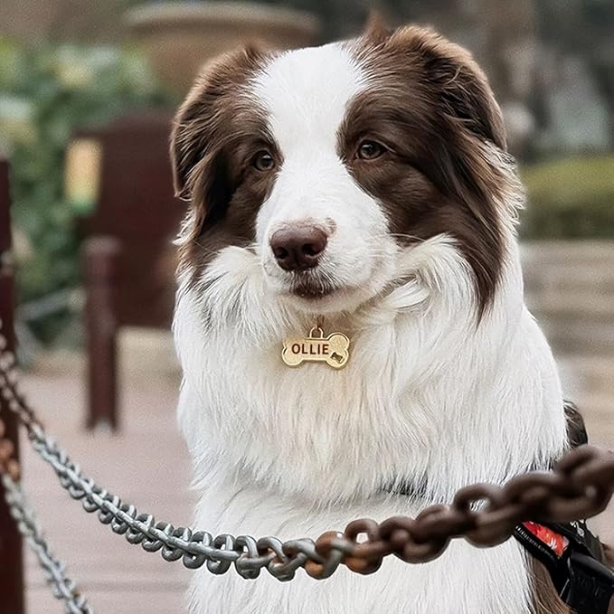 Dogs ID Tags Personalized Front and Back Engraving Brass Bone Shape Small..