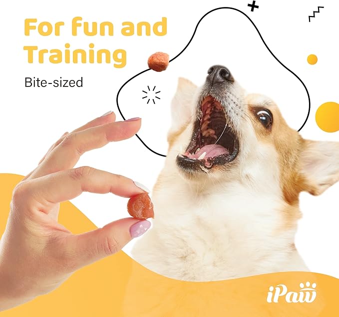 iPaw Chicken Tots Dog Treats for Puppy Training, All Natural Human Grade Dog Treat, Hypoallergenic, Easy to Digest (Chicken Tots), 2 Packs