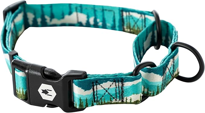Wolfgang Heavy Duty Martingale Dog Collar with Quick Release Nylon Buckle for Walking & Training, GreatEscape Print, Large
