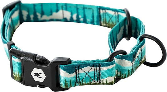 Wolfgang Heavy Duty Martingale Dog Collar with Quick Release Nylon Buckle for Walking & Training, GreatEscape Print, Large