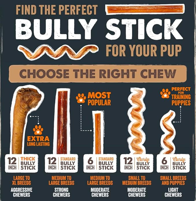 Mighty Paw Long Lasting 12" Bully Sticks for Dogs - All Natural Grass Fed Beef Chews. Lower Odor Dog Bully Sticks for Large Dogs, Medium and Small Breeds. Single Ingredient Treats
