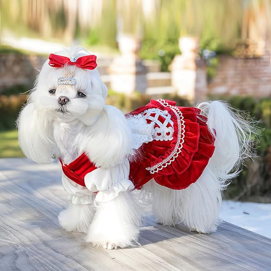 MengYu Princess Dresses for Small Dog Lolita Clothes for Cat Velvet Costume Pretty Lace Outfits Fall Costumes (Red, L)