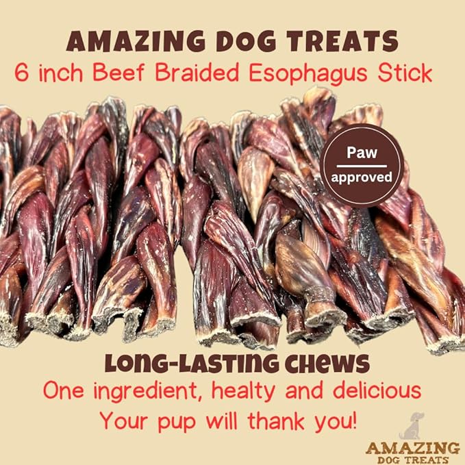 Amazing Dog Treats - 6 Inch Braided Beef Esophagus Sticks (4 Pc/Pack) - Braided Gullet Sticks Dog Chews