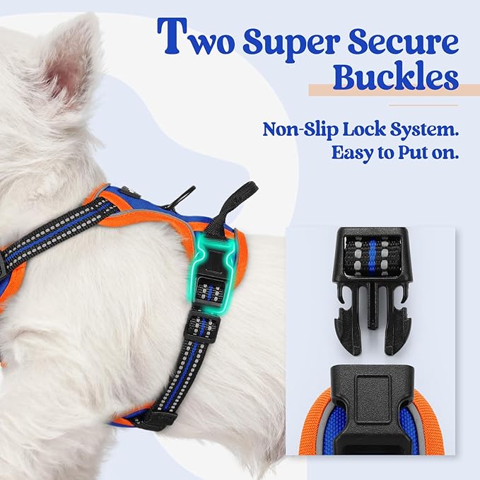 rabbitgoo Dog Harness No Pull with 2 Leash Clips, Adjustable Soft Padded, Reflective Oxford No Choke Pet Vest with Easy Control Handle for Puppy, Blue & Orange, XS