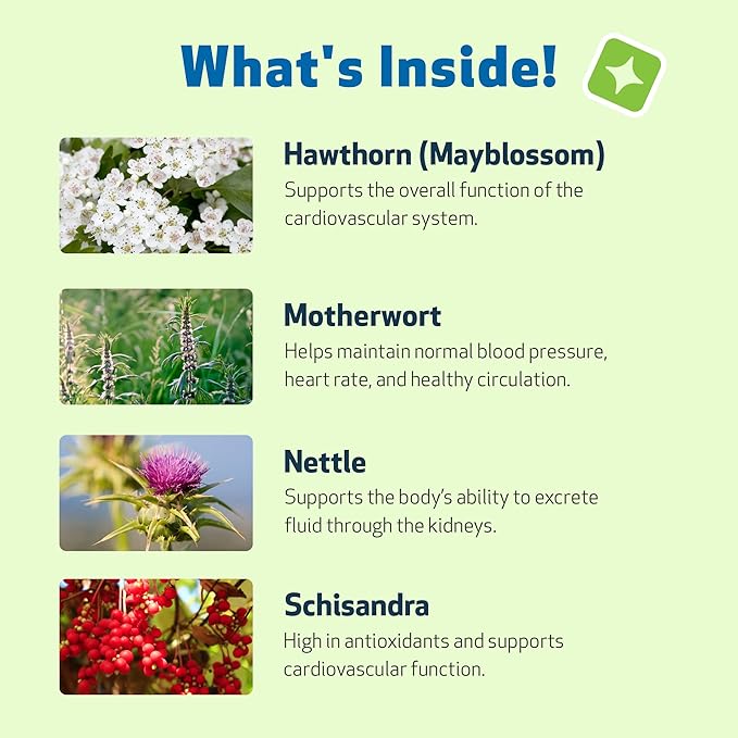 Pet Wellbeing Young at Heart for Dogs - Heart Health, Circulatory & Cardiovascular System, Hawthorn, Motherwort, Schisandra - Veterinarian-Formulated Herbal Supplement 2 fl oz (59 ml)
