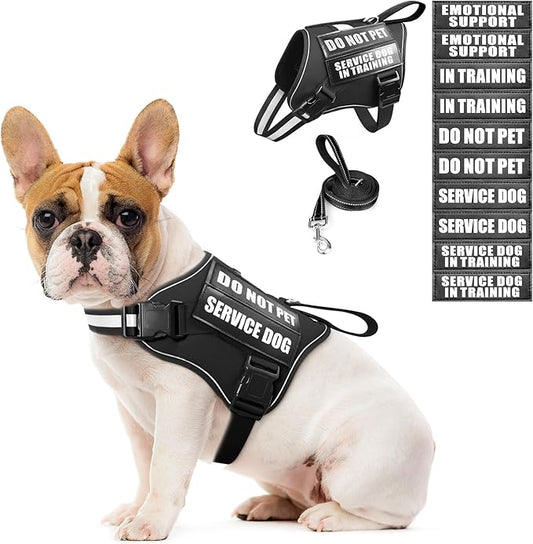 Service Dog Vest Harness and Leash Set+10 Patches,No Pull&Easy Walk Reflective Dog Harness with Soft Padded Handle for Training/Everyday,Fit Small/Medium/Large/Extra-Large Dogs (Black S)