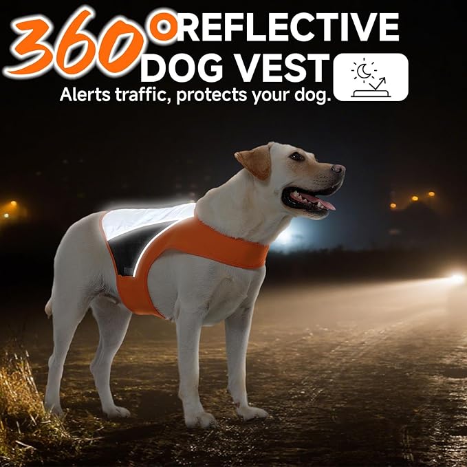 DORA BRIDAL Reflective Dog Vest for Small Dogs, Orange High Visibility Safety Pet Vest for Hunting, Walking at Night