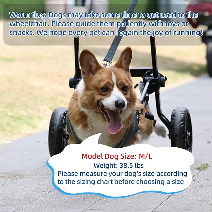 Dog Wheelchair for Back Legs, Light Weight Dog Wheelchair Cart with Disabled Hind Legs Walking, Adjustable