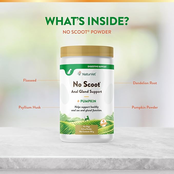 NaturVet - No Scoot for Dogs - Plus Pumpkin - Supports Healthy Anal Gland & Bowel Function - Enhanced with Beet Pulp & Psyllium Husk (5.4oz Powder)