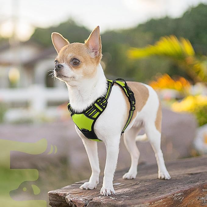 Eagloo Small Dog Harness No Pull, Service Vest with Reflective Strips and Control Handle, Adjustable and Comfortable for Walking, No Choke Pet Harness with 2 Metal Rings, Green, XS