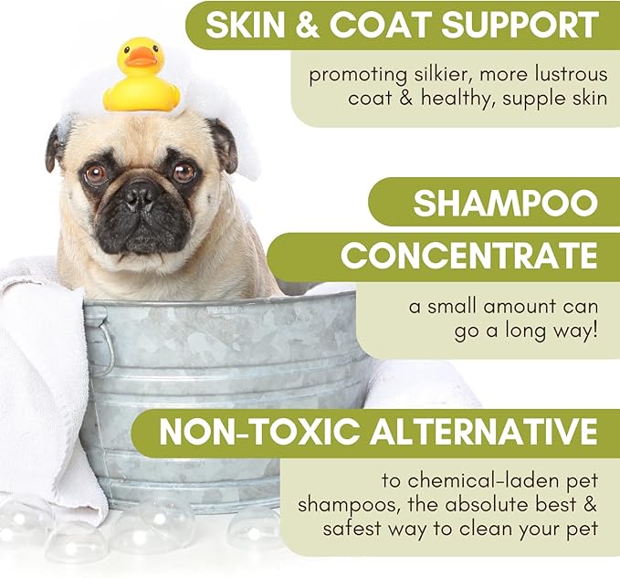 Wholistic Pet Organics Pet Shampoo Concentrate: Heavenly Herbal Organic Dog Shampoo and Conditioner - All Natural Puppy and Cat Shampoo for Dry, Itchy Skin, Allergies, Dandruff