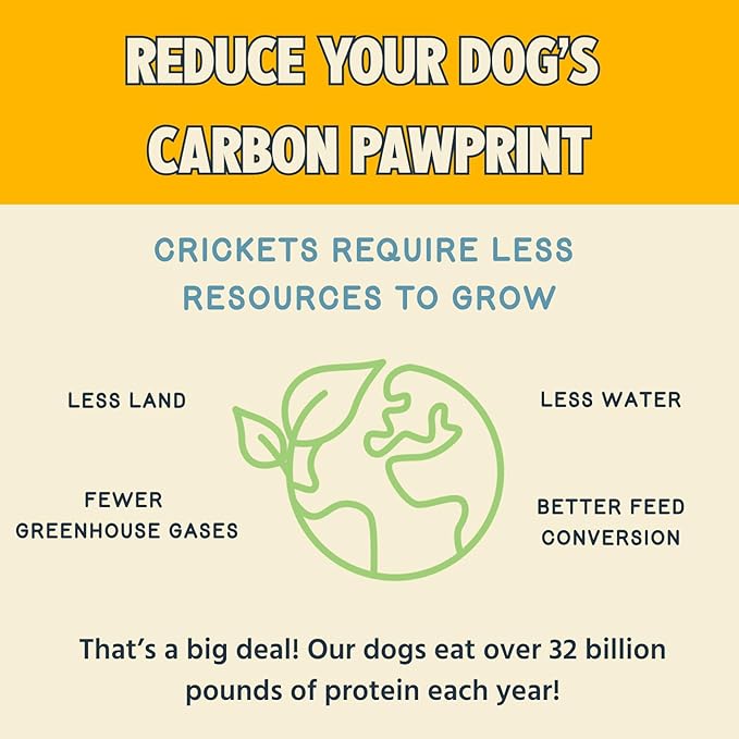 Jiminy's Crunchy Peanut Butter & Blueberry Dog Treat, Hypoallergenic, Prebiotic, Tummy Friendly, Low Calorie, Alternative Cricket Protein, Sustainable, 5oz (Pack of 1)