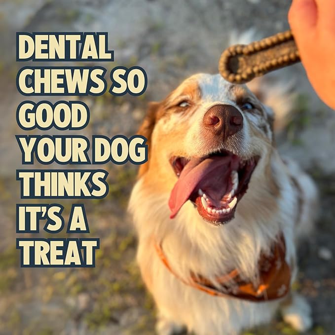 Jiminy's Dental Chews for Dogs, Cinnamon Flavor, Scientifically Proven to Improve Oral Health, Dental Bones Clean Teeth, Fight Bad Breath, and Removes Plaque and Tartar, X-Small, 38ct (Pack of 6)