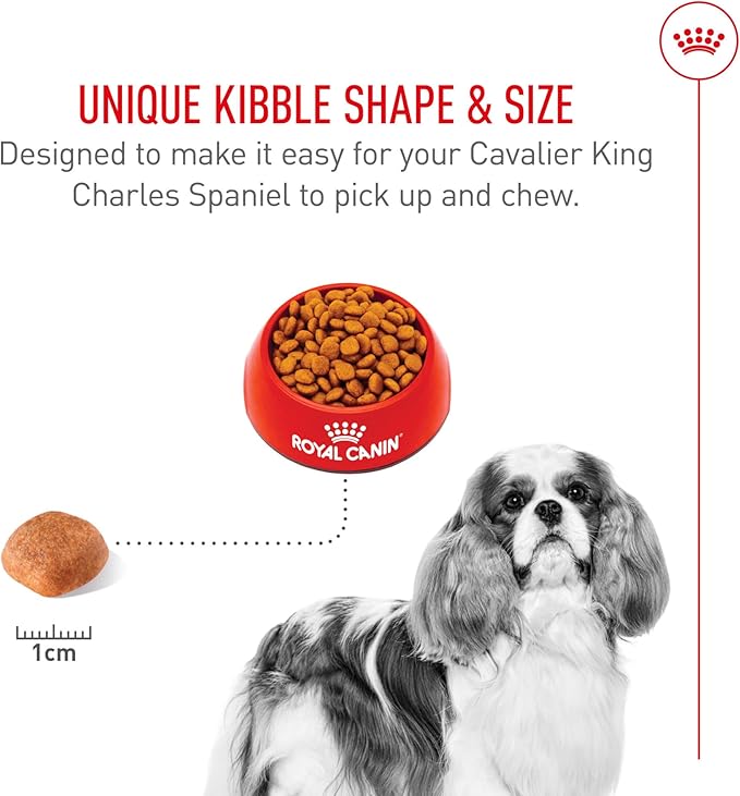 Royal Canin Cavalier King Charles Spaniel Adult Breed Specific Dry Dog Food, 10 lb bag