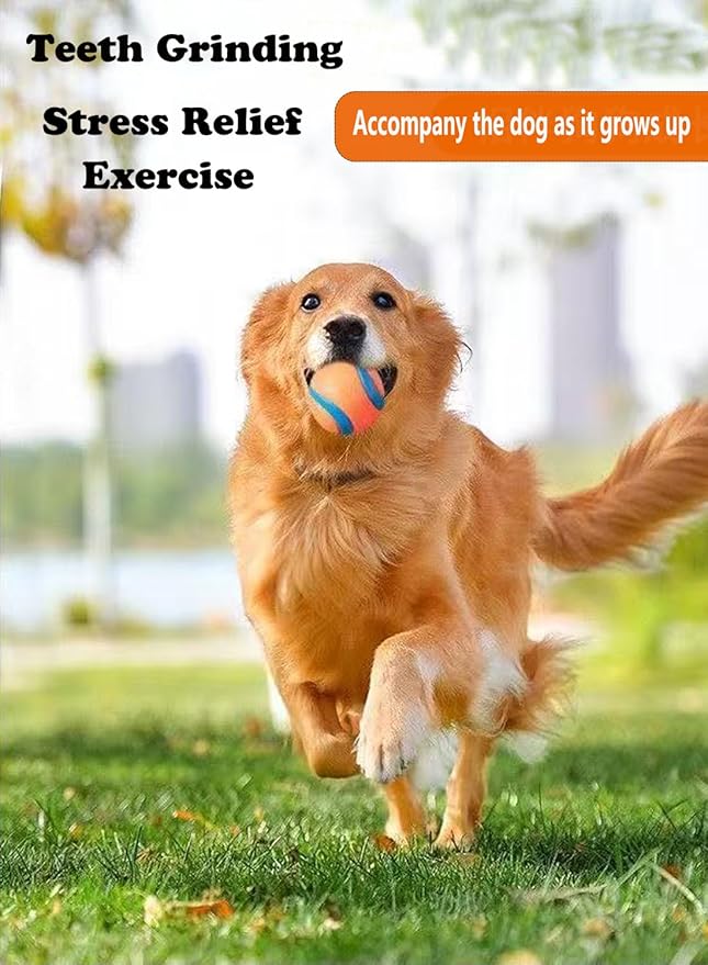 Dog Toy Ball,Rubber Sound-Producing Toy Ball, with a Groove Design That is Resistant to Bites, Has a High Bounce, Dog Training Interactive Pet Toy, Relieving Pet Anxiety,Pack of 2