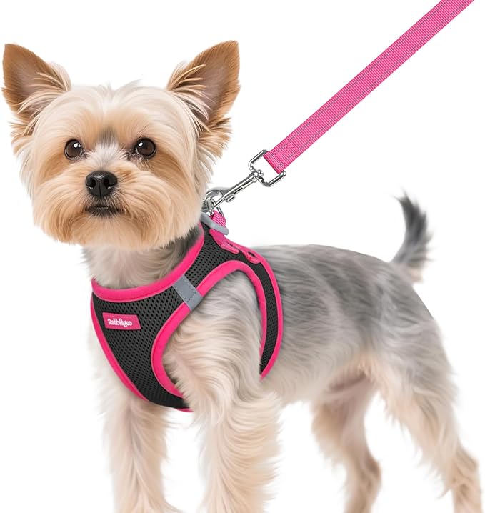 rabbitgoo Dog Harness Small Sized and Leash Set, Step-in Breathable Pet Harness, Soft Walking Reflective Puppy Vest for Small Dogs, Black & Rose Red, XS